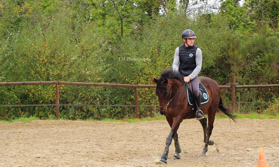 équitation